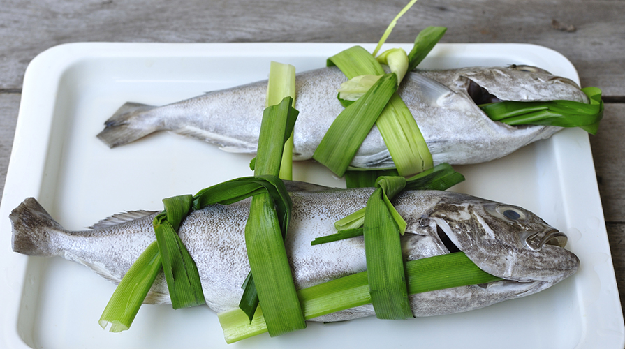 cucinare ricciola