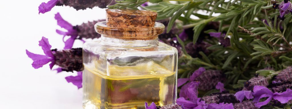 liquore di lavanda selvatica