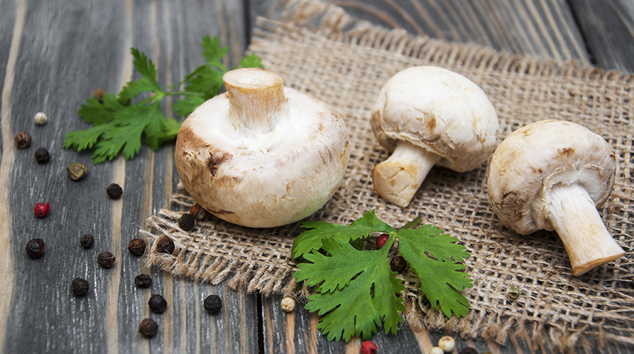 insalata-di-funghi-champignon