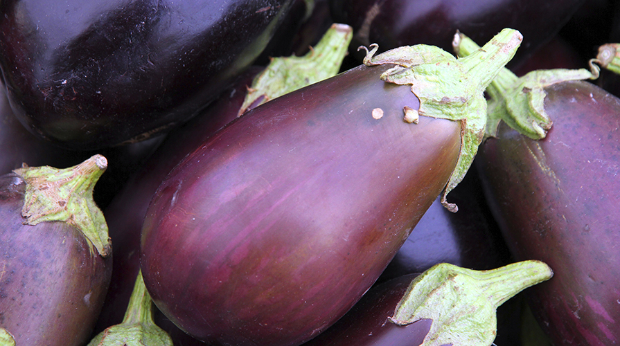 ricetta-barchette-di-melanzane-ripiene