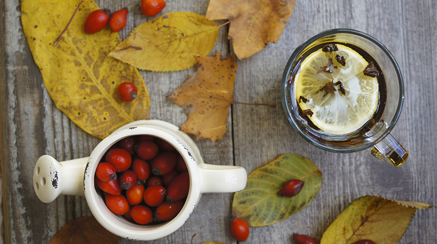 ricetta-tisana-rosa-canina