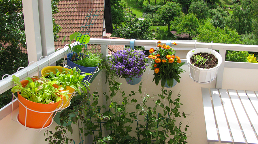 L'orto sul balcone