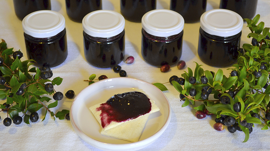 Ricetta Marmellata di Mirto