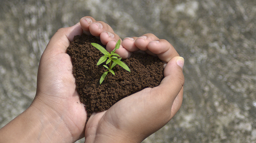 orto-sul-balcone-terriccio-e-terra-di-campo