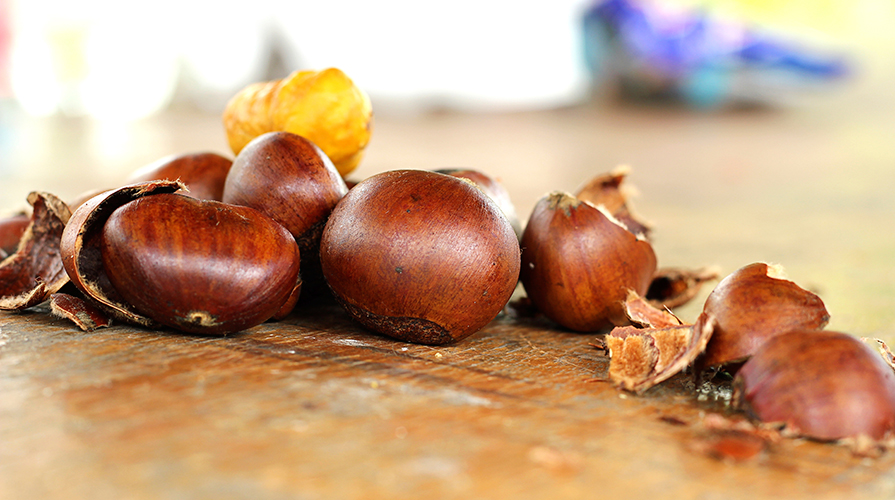 ricette-con-l-castagne-e-i-marroni