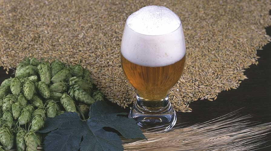 Homebrewing: come fare la birra in casa