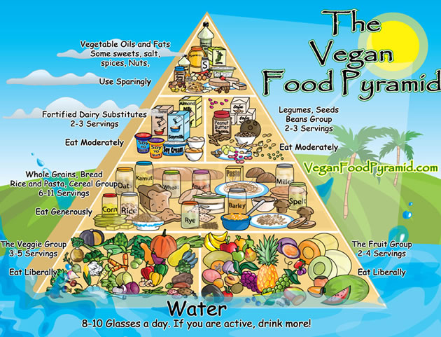 Dieta Vegan infografica