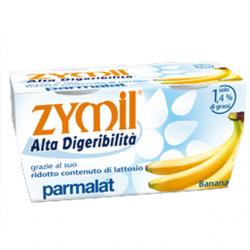 Yogurt Zymil Parmalat