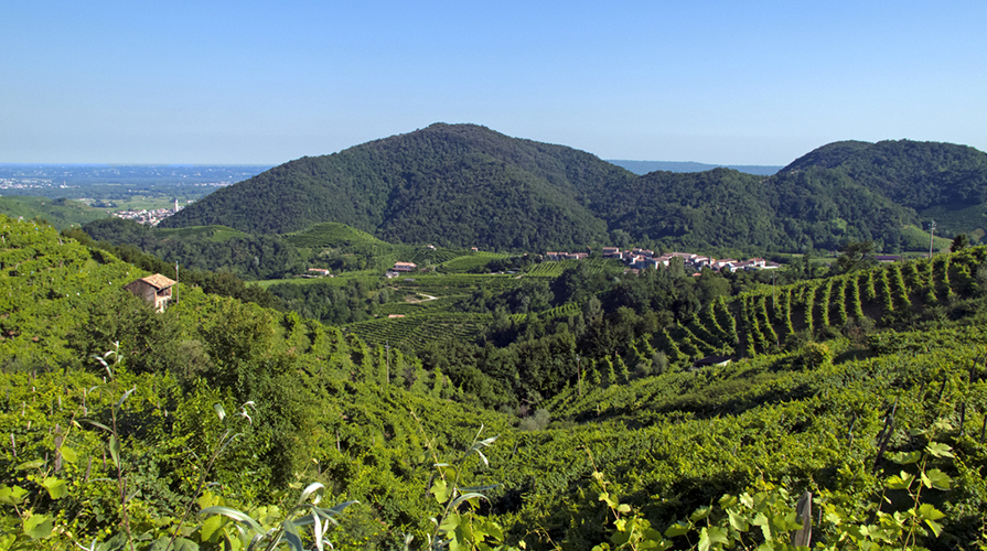 Valdobbiadene