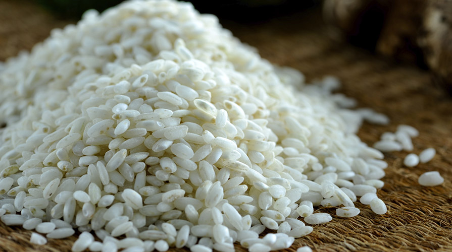 Bomba di riso alla piacentina - Giornale del cibo