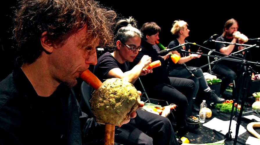 Vegetable Orchestra in concerto