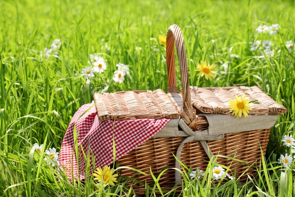 Come organizzare un pic nic: ricette e consigli