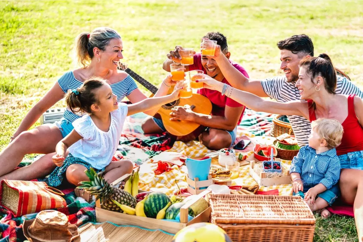 pic nic