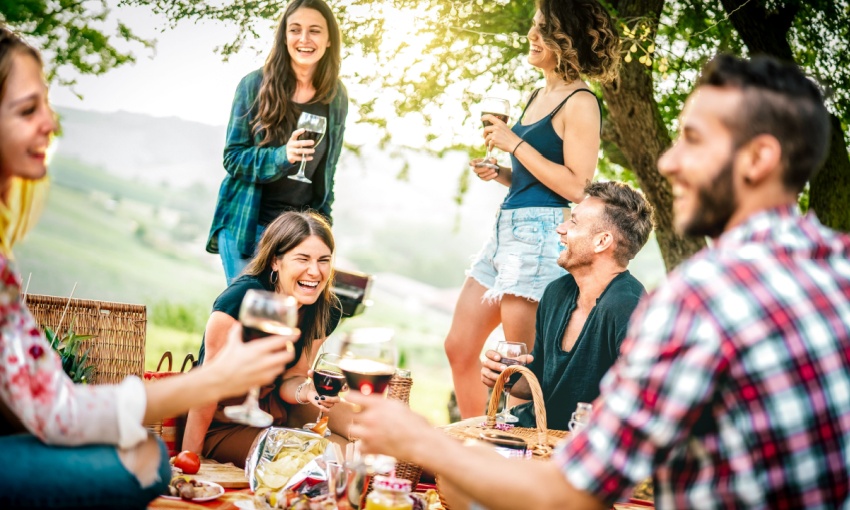 gruppo di amici che brinda a un pic nic