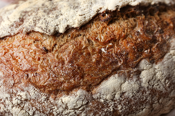 Crosta di pane