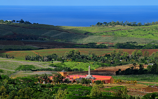 rum chamarel