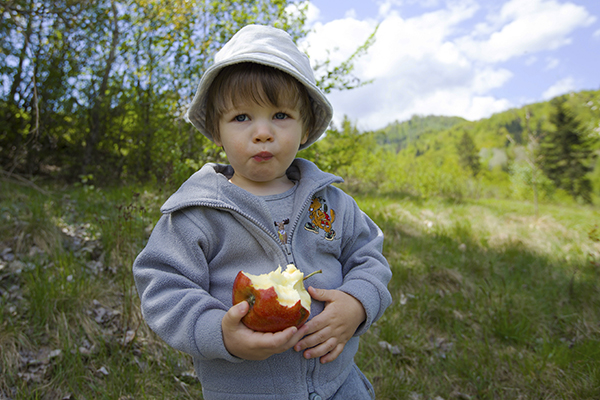 Spuntino frutta montagna