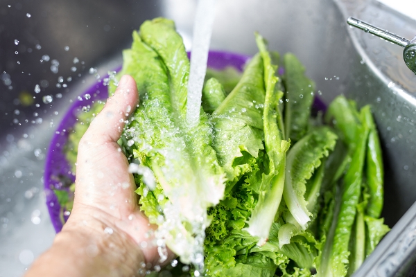 Come lavare l'insalata: acqua tiepida e niente cloro