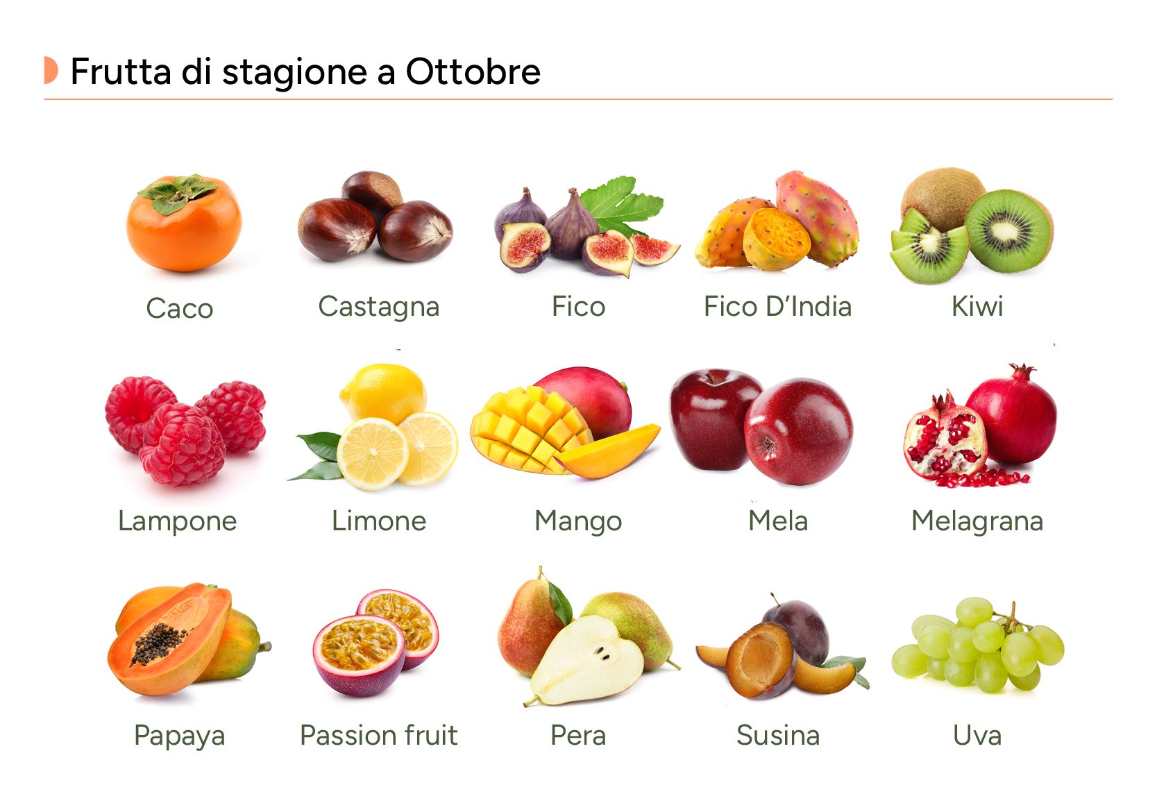 Infografica della frutta di  stagione a ottobre