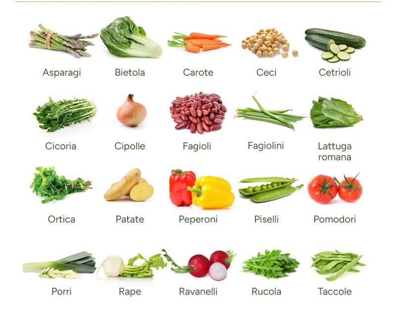 Infografica con le verdure di stagione di giugno