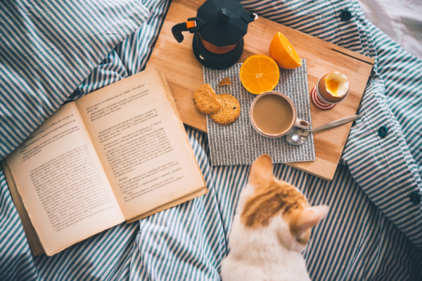 libri da leggere a colazione