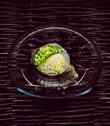 maaemo__Norwegian oysters with mussels and dill_credit Tuuka Koski