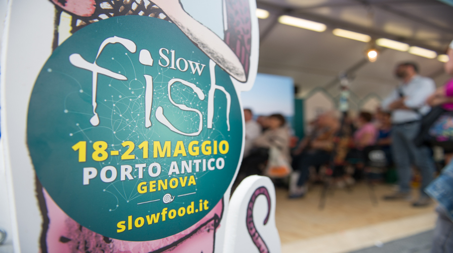 slow-fish