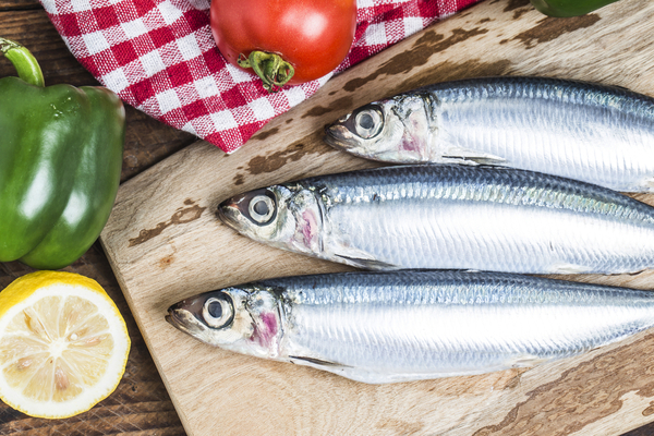 sardine proteine