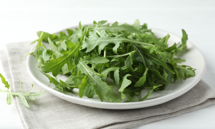 rucola