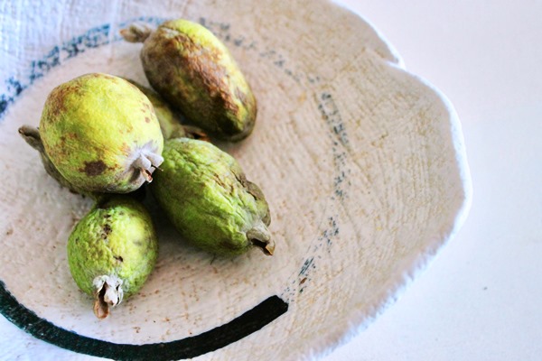 feijoa frutto