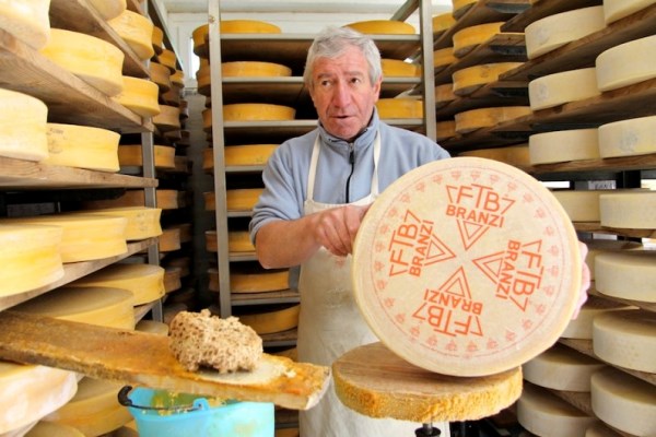 formaggio branzi