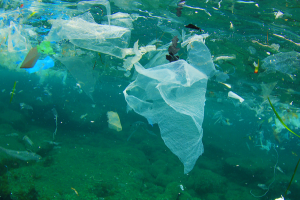 inquinamento plastica mare