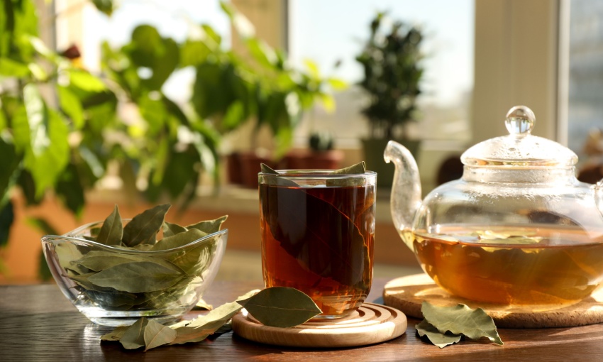 tisana di alloro 