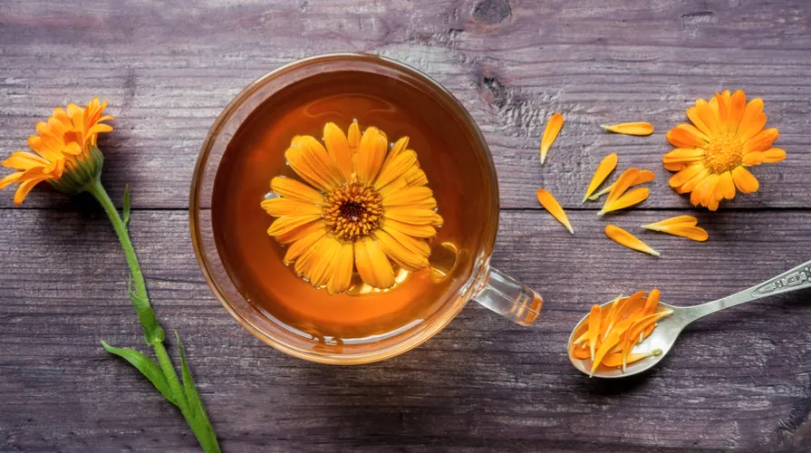 calendula proprietà terapeutiche