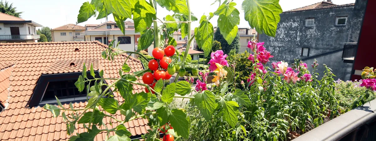 orto sul balcone