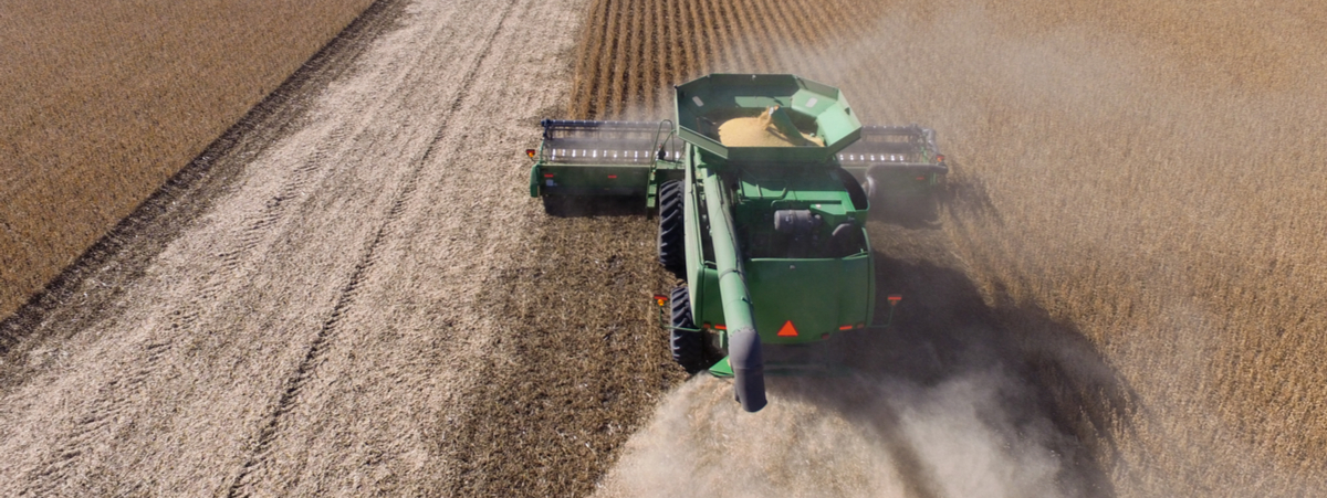 Glifosato nella pasta: Barilla dice no a importazioni grano estero