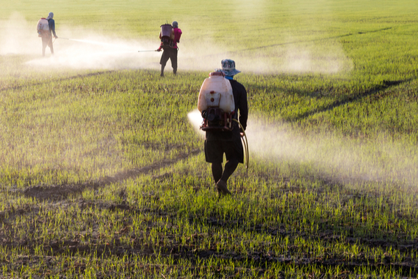 pesticidi agricoltura