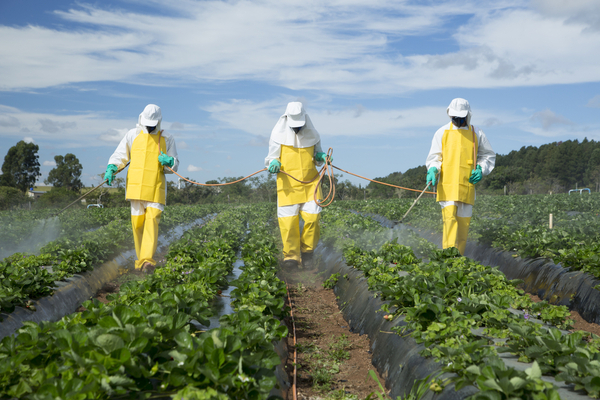 uso pesticidi agricoltura