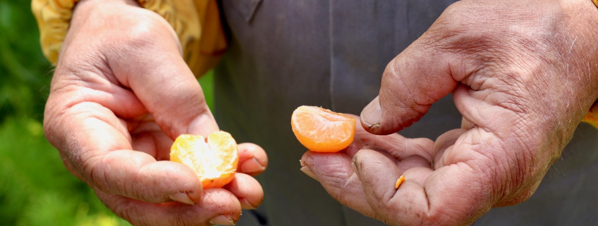 agricoltura sociale calabria