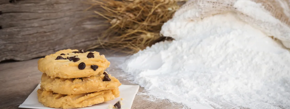 ricette con i grani antichi