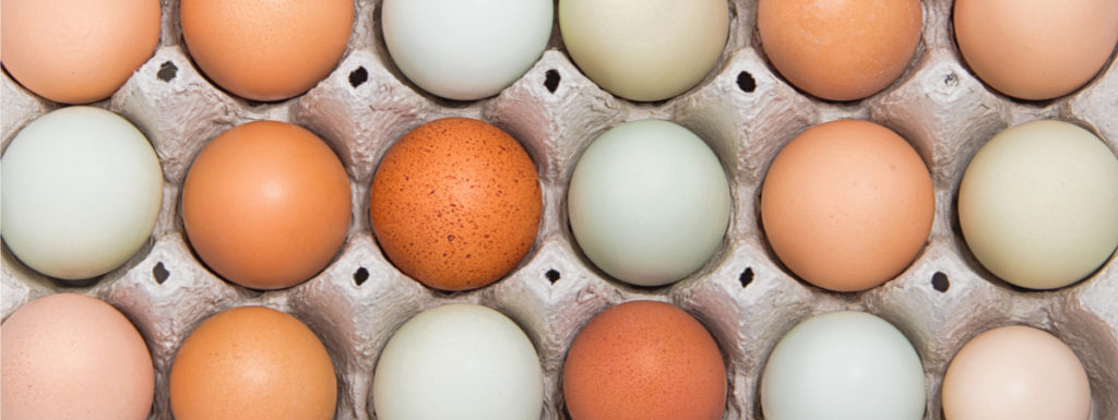 colore tuorlo delle uova