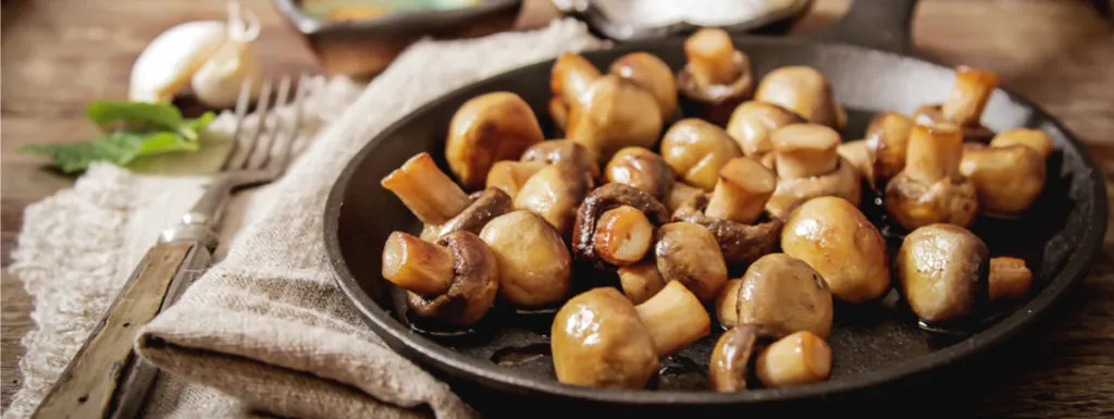 funghi ricette vegan