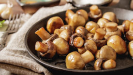 funghi ricette vegan