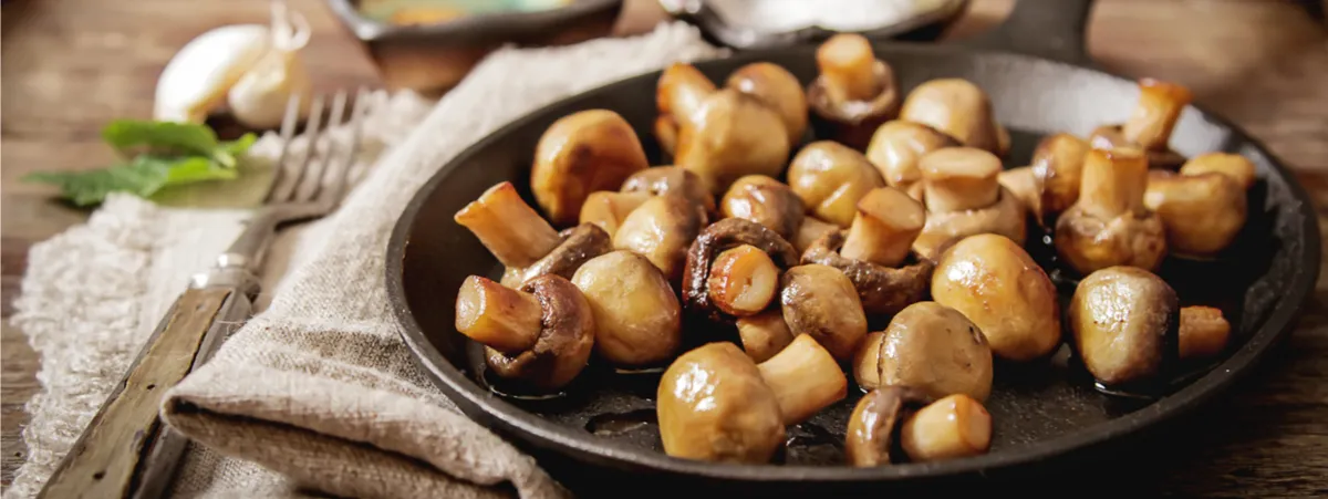 funghi ricette vegan