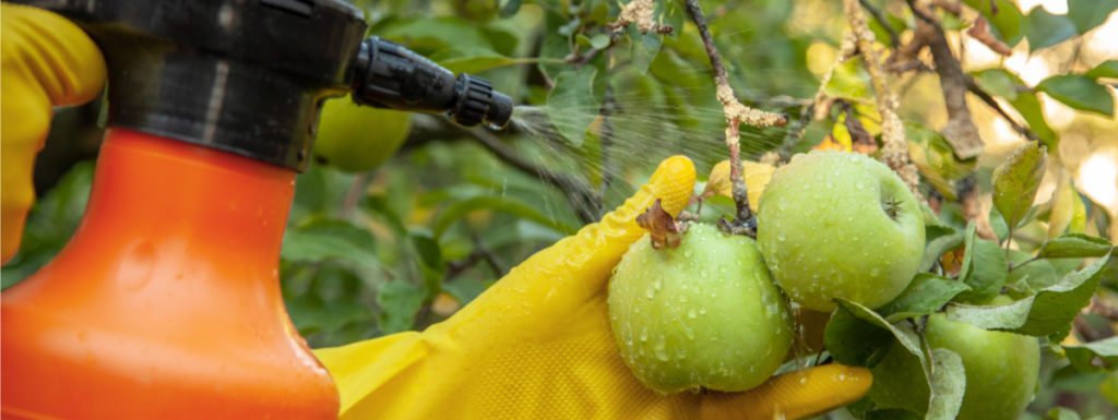 pesticidi nelle mele