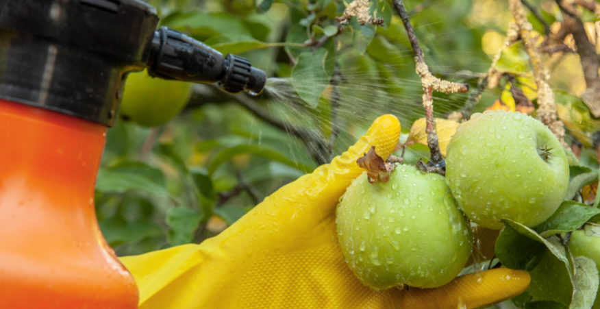 pesticidi nelle mele