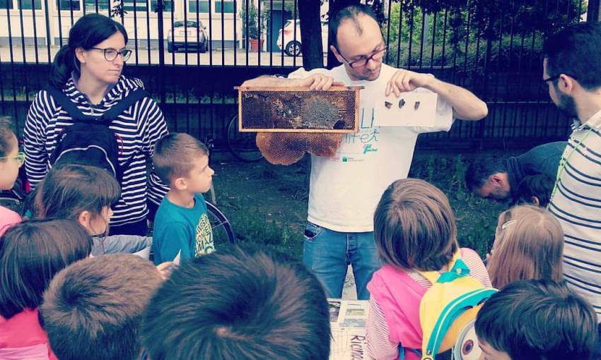 apicoltura urbana bambini