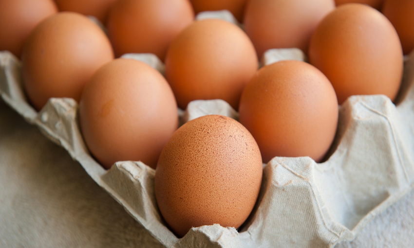 conservare le uova