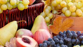 Frutta e verdura settembre