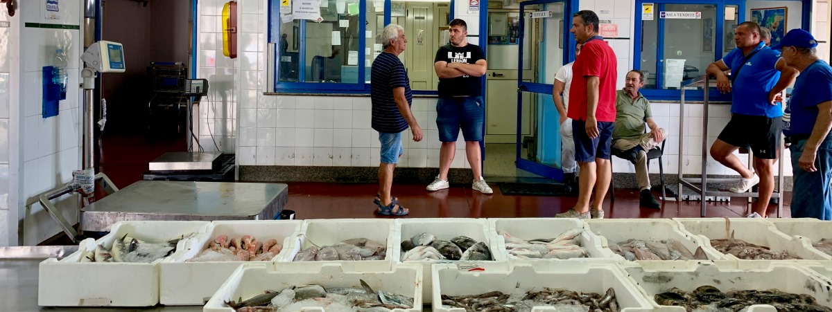 pesce pronto per essere venduto all'asta